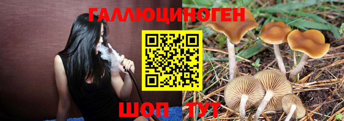 Курганинск  Псилоцибиновые грибы мицелий  Вход с VPN  Псилоцибиновые грибы Magic Shrooms 