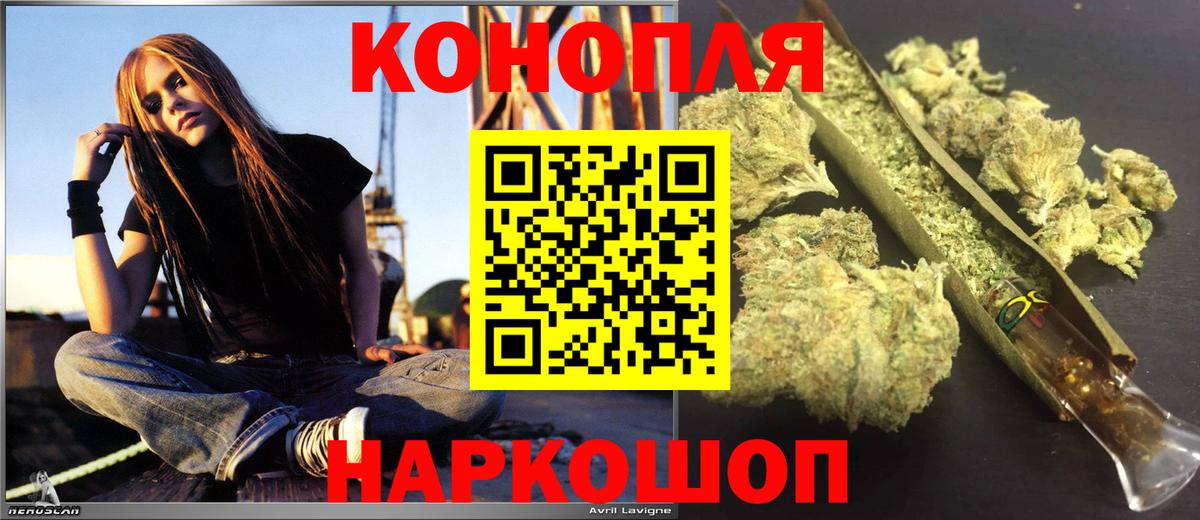 Шишки марихуана марихуана Курганинск